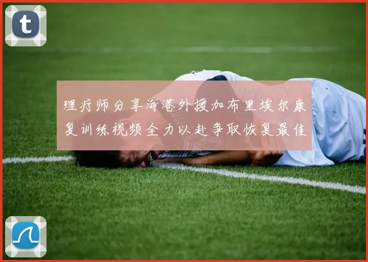 理疗师分享海港外援加布里埃尔康复训练视频全力以赴争取恢复最佳状态