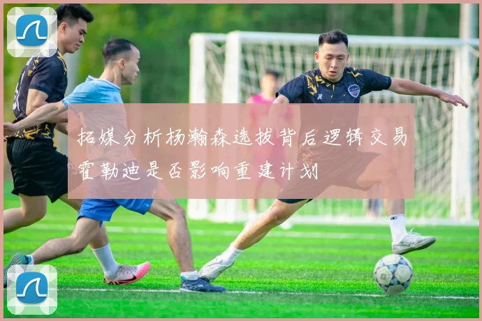 拓媒分析杨瀚森选拔背后逻辑交易霍勒迪是否影响重建计划
