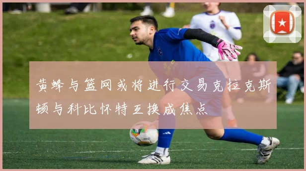 黄蜂与篮网或将进行交易克拉克斯顿与科比怀特互换成焦点